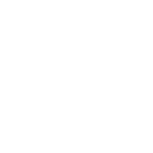 Absolutely Maintenance roller brush