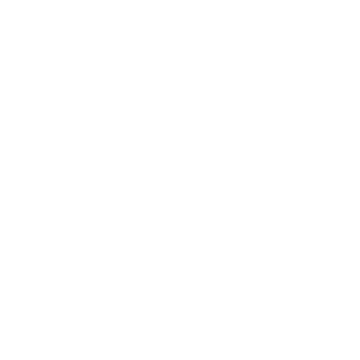 Absolutely Maintenance boiler